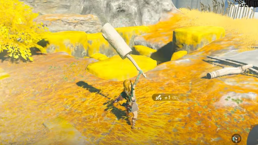 The Legend of Zelda: Tears of the Kingdom fuse