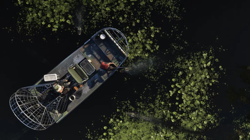 Um barco híbrido com 2 pessoas e vários jacarés indo dem direção a ele pelas águas escuras.
