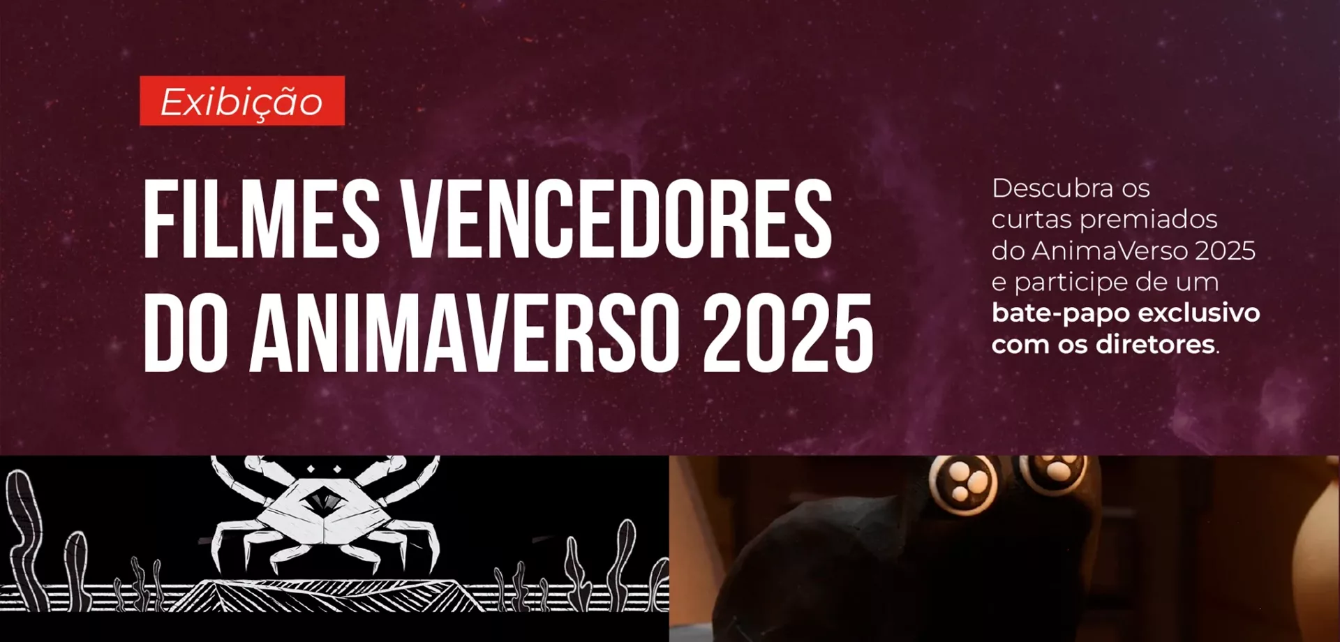 Parte do Cartaz do AnimavVrso 2025.