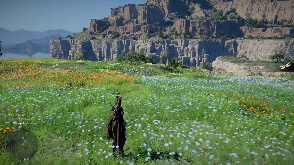 Personagem de Crimson Desert colhendo uma libélula para alguma receita alquímica.